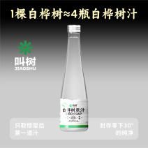 【桦树汁】白桦树汁饮品厂家直发量大从优欢迎下单