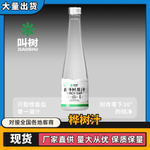 桦树汁厂家直发品质保证支持一件代发欢迎来电咨询