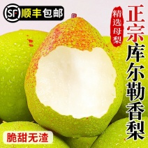 新疆库尔勒香梨一件代发产地直发一手货源对接各大电商平台