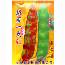 将军一点红种子油豆开锅烂宽芸豆种籽将军豆抗寒抗病东北油豆