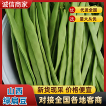 【精品】山西应县扁豆大量上市产地直发对接各大市场商超