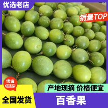 钦蜜9号黄金百香果产地直供质量有保证