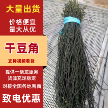 【放心购买】干豆角烘干豆角晒干豆角供应电商工厂商超