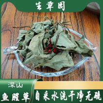 鱼腥草折耳根中药材中草药原料批发