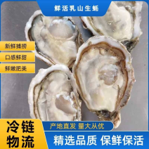 【精品刺身级货】生蚝乳山生蚝保证品质个个肥美支持一件发