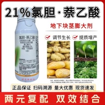 氯胆萘乙酸根茎膨大剂马铃薯葱姜蒜花生洋葱土豆红薯地下块茎