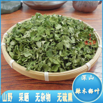 辣木叶辣木籽叶中药材中草药原料批发