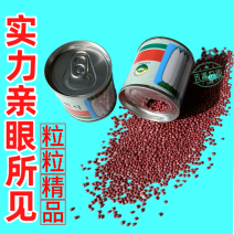 原装原罐雪春萝卜种子春萝卜种籽罐装可吃快速生长白玉天使秋