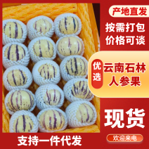 云南省人参果果园直采对接电商/团购欢迎选购