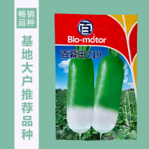 【百幕田种业】萝卜种籽红福萝卜种子紫美水果萝卜种秋播原装