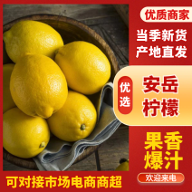 新鲜安岳柠檬果黄柠檬，对接电商工厂一件代发整车批发