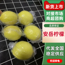 安岳柠檬黄柠檬奶茶店直供一件代发整车批发各大电商网店