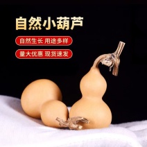山西文玩葫芦常年供应一件也可发规格齐全量大价优