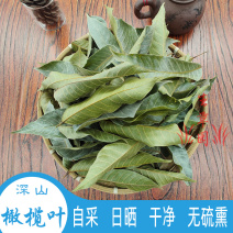 橄榄叶中药材中草药原料批发橄榄叶