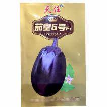 牛心罐茄子种子灯泡型茄子5g茄皇6号做果强基地专用