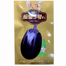 牛心茄子种子茄皇5号长茄5g膨果快产量高基地专用