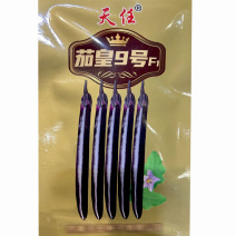 紫黑长茄种子紫黑长棒茄子种子茄皇8号中早熟黑长茄紫萼