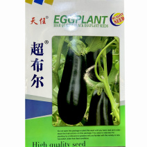 绿把茄子种子超布尔绿萼绿把长茄种子5g黑亮长棒茄子种子