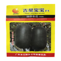 吉星宝宝迷你冬瓜种子早熟易坐果果短圆筒形高产