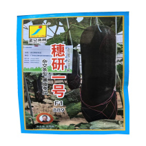 穗研一号黑皮冬瓜种子889杂交条型长柱型基地种子发芽高