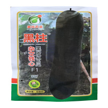 黑柱杂交铁心黑皮冬瓜种子887空腔小长柱型