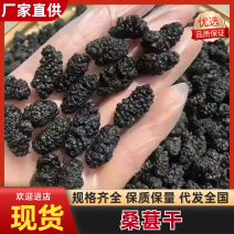 【实力商家】桑葚干个头均匀肉厚饱满一手货源大量供应