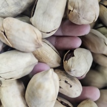 碧根果，电商货大量现货