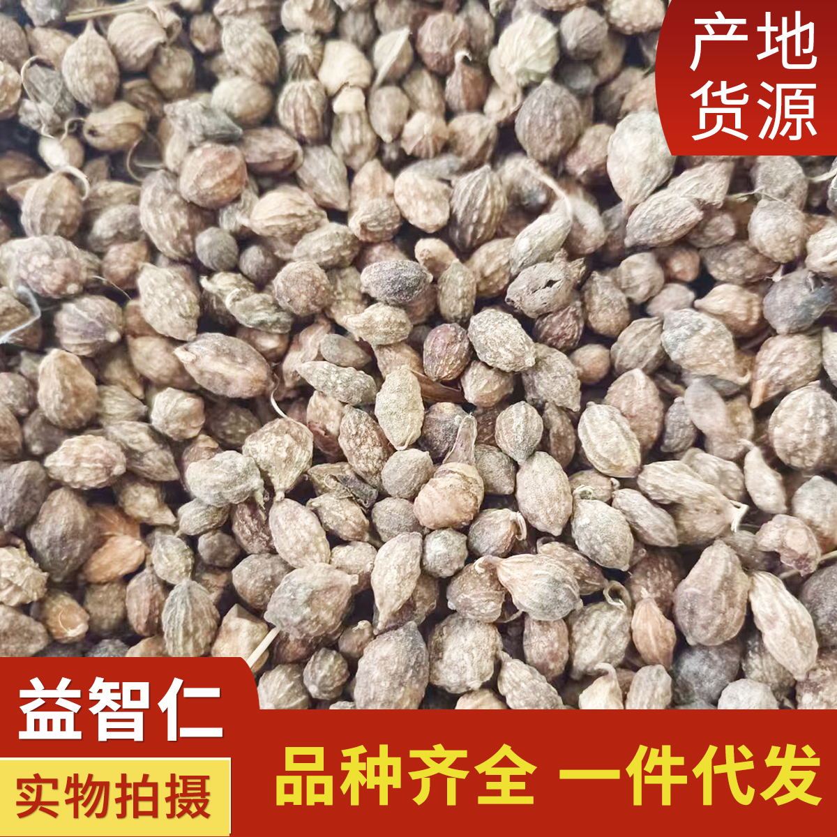 [益智仁批发]广西玉林容县益智仁 49.00元/斤现货供应益智仁 _ 一亩田
