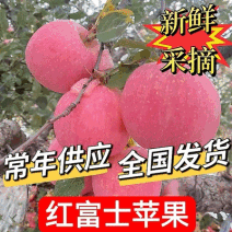 红富士苹果礼盒包装齐全（常年批发全国发货）批发/商超