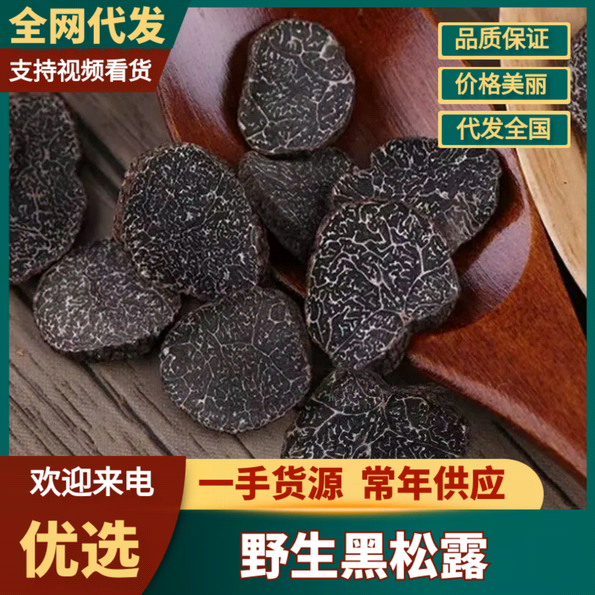 [黑松露批发]辽宁朝阳建平县松露 700.00元/斤东北野生黑松 _ 一亩田