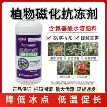 植物防冻液防冻剂含氨基酸水溶肥料防冻抗寒缓解冻害降低冰点