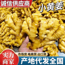 山东小黄姜产地一手货源，货源充足，保质保量，全国发货
