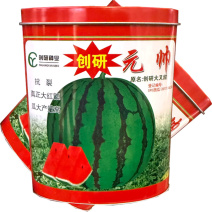 创研元帅西瓜种子抗裂耐重茬大红瓤西瓜种籽薄皮耐贮运基地种