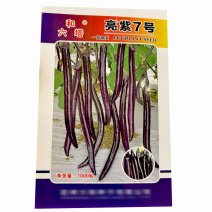 亮紫7号亮紫线茄种子早熟果皮薄紫红抗病基地品种