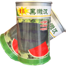 黑懒汉西瓜种子抗重茬不整枝免打权瓤色大红黑皮西瓜种子