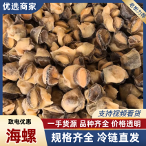 海螺头支持批发零售货源充足价格平稳欢迎大家咨询