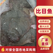 【实力推荐】多宝鱼/现货现发/量大价优/欢迎咨询。
