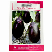 亿丰紫罐茄子种子牛心茄早熟果实大菜农大田基地种植