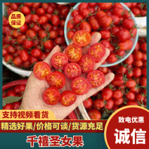 【山东圣女果】莘县千禧圣女果/电商团购一件代发特价批发