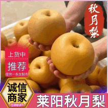 《精选》秋月梨/莱阳梨【批发商超出口】现货一条龙服务
