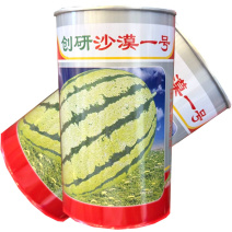 沙漠一号西瓜种子大红瓤花皮椭圆西瓜种籽易坐果皮薄耐贮运