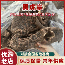 【热卖】黑虎掌保质保量价格优惠欢迎各大老板采购咨询