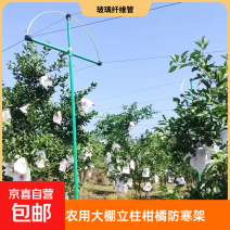 【降价了】玻璃纤维拱棚立柱防锈防腐蚀垂直支撑杆大棚加固