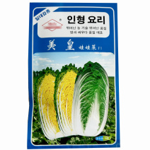 美皇娃娃菜种子小白菜早熟好吃黄心高产秋冬种植耐寒蔬菜种孑