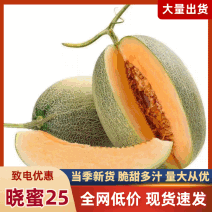 [牛]【精品】海南哈密瓜晓蜜25号糖度高产地直发价格便宜