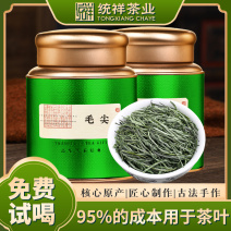 毛尖茶叶新茶明前春茶浓香型炒青毛尖绿茶嫩芽茶叶罐装