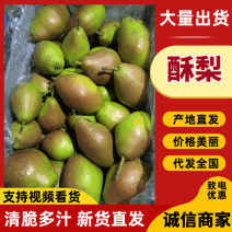 苏翠1号脆甜多汁梨中爱马仕