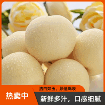 河北赵县皇冠果大量有货，质量保证/价格合理/对接超市