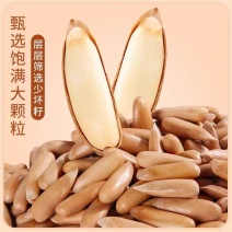 巴西松子新货手剥松子大颗粒坚果长粒零食年货原味