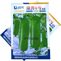 绿秀6号短瓠种子早熟瓠瓜种子瓜皮深绿色油亮短圆筒形基地种